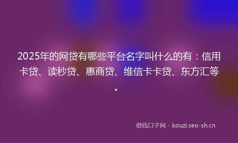 2025年的网贷有哪些平台名字叫什么的有：信用卡贷、读秒贷、惠商贷、维信卡卡贷、东方汇等。