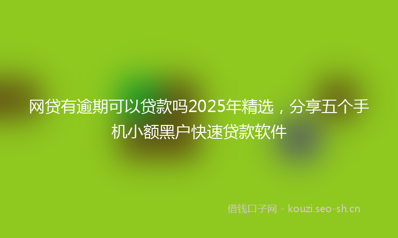 网贷有逾期可以贷款吗2025年精选，分享五个手机小额黑户快速贷款软件