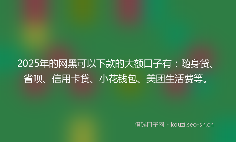 2025年的网黑可以下款的大额口子有：随身贷、省呗、信用卡贷、小花钱包、美团生活费等。