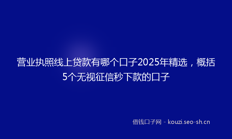 营业执照线上贷款有哪个口子2025年精选，概括5个无视征信秒下款的口子