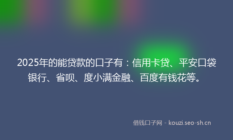 2025年的能贷款的口子有：信用卡贷、平安口袋银行、省呗、度小满金融、百度有钱花等。