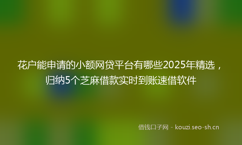 花户能申请的小额网贷平台有哪些2025年精选，归纳5个芝麻借款实时到账速借软件