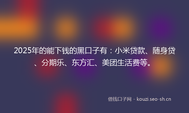 2025年的能下钱的黑口子有：小米贷款、随身贷、分期乐、东方汇、美团生活费等。