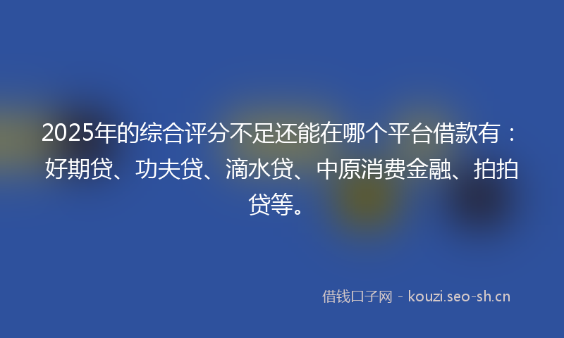 2025年的综合评分不足还能在哪个平台借款有:好期贷、功夫贷、滴水贷、中原消费金融、拍拍贷等。