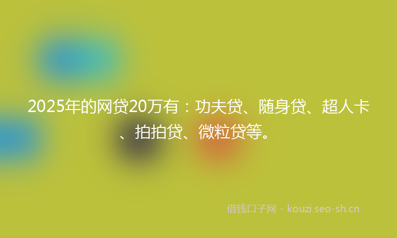 2025年的网贷20万有：功夫贷、随身贷、超人卡、拍拍贷、微粒贷等。
