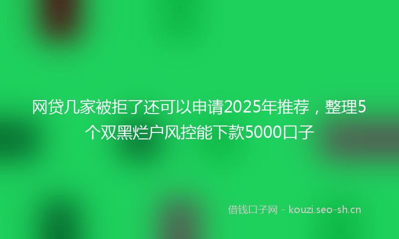 网贷几家被拒了还可以申请2025年推荐，整理5个双黑烂户风控能下款5000口子