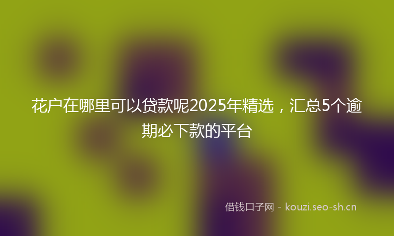 花户在哪里可以贷款呢2025年精选，汇总5个逾期必下款的平台
