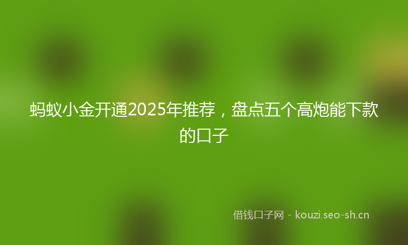 蚂蚁小金开通2025年推荐,盘点五个高炮能下款的口子