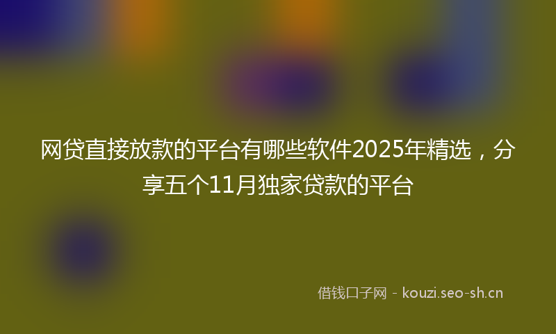 网贷直接放款的平台有哪些软件2025年精选，分享五个11月独家贷款的平台