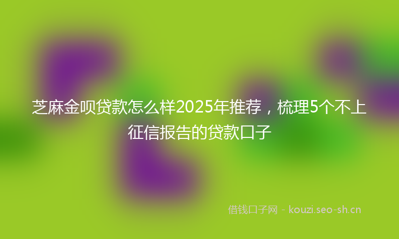 芝麻金呗贷款怎么样2025年推荐，梳理5个不上征信报告的贷款口子