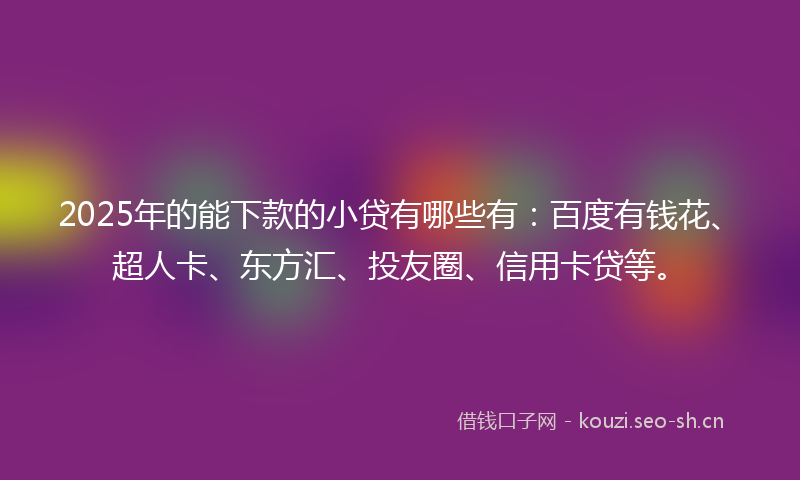 2025年的能下款的小贷有哪些有：百度有钱花、超人卡、东方汇、投友圈、信用卡贷等。