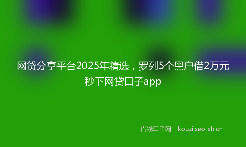 网贷分享平台2025年精选，罗列5个黑户借2万元秒下网贷口子app