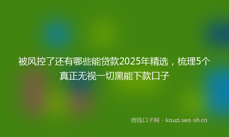 被风控了还有哪些能贷款2025年精选，梳理5个真正无视一切黑能下款口子
