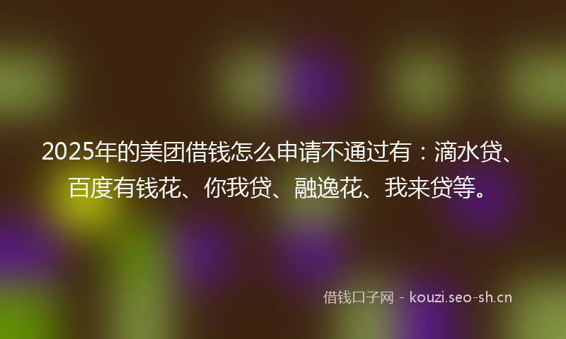 2025年的美团借钱怎么申请不通过有：滴水贷、百度有钱花、你我贷、融逸花、我来贷等。