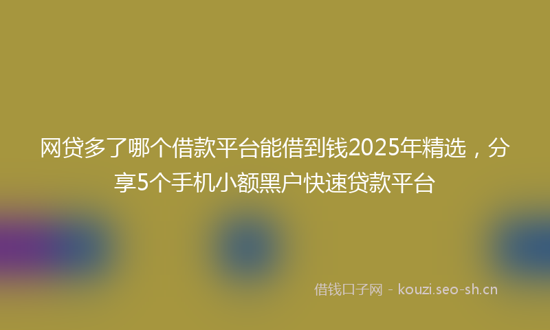 网贷多了哪个借款平台能借到钱2025年精选，分享5个手机小额黑户快速贷款平台