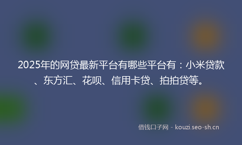2025年的网贷最新平台有哪些平台有：小米贷款、东方汇、花呗、信用卡贷、拍拍贷等。