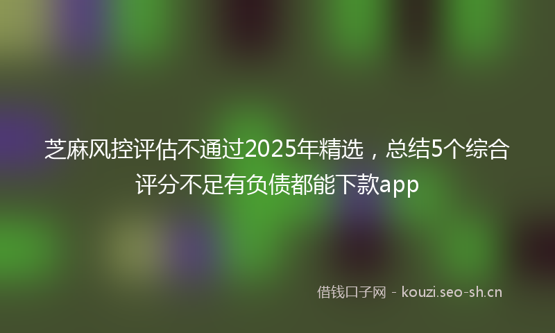 芝麻风控评估不通过2025年精选，总结5个综合评分不足有负债都能下款app