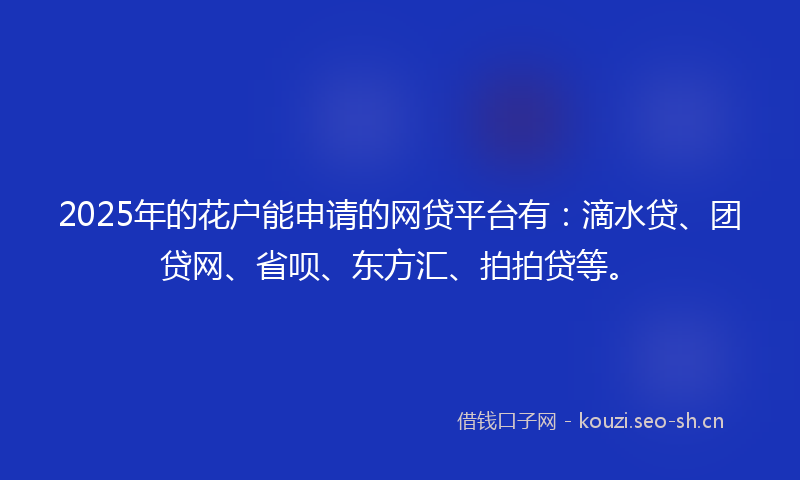 2025年的花户能申请的网贷平台有：滴水贷、团贷网、省呗、东方汇、拍拍贷等。