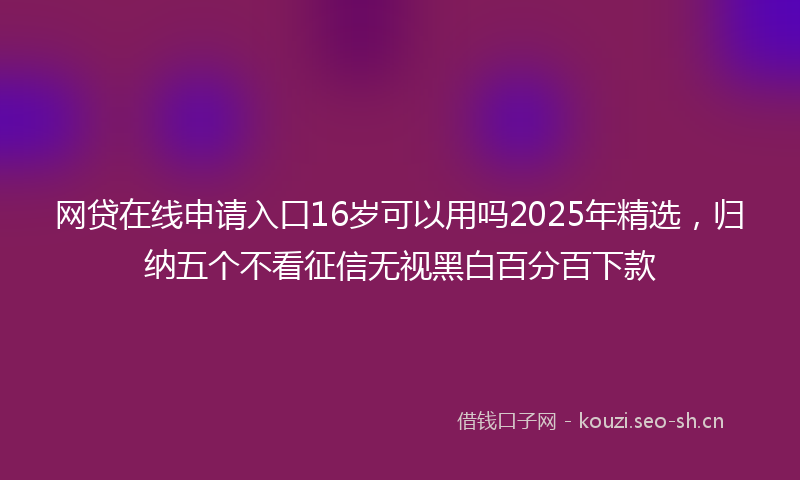 网贷在线申请入口16岁可以用吗2025年精选，归纳五个不看征信无视黑白百分百下款