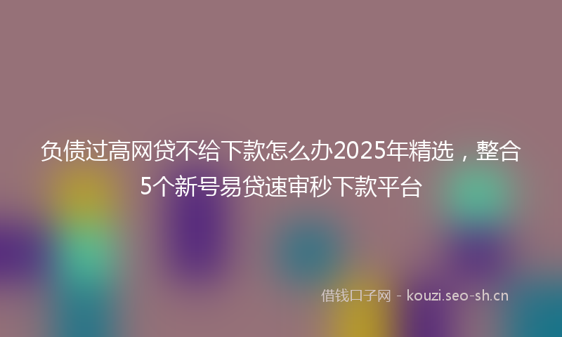 负债过高网贷不给下款怎么办2025年精选，整合5个新号易贷速审秒下款平台