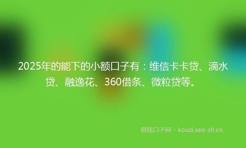 2025年的能下的小额口子有：维信卡卡贷、滴水贷、融逸花、360借条、微粒贷等。