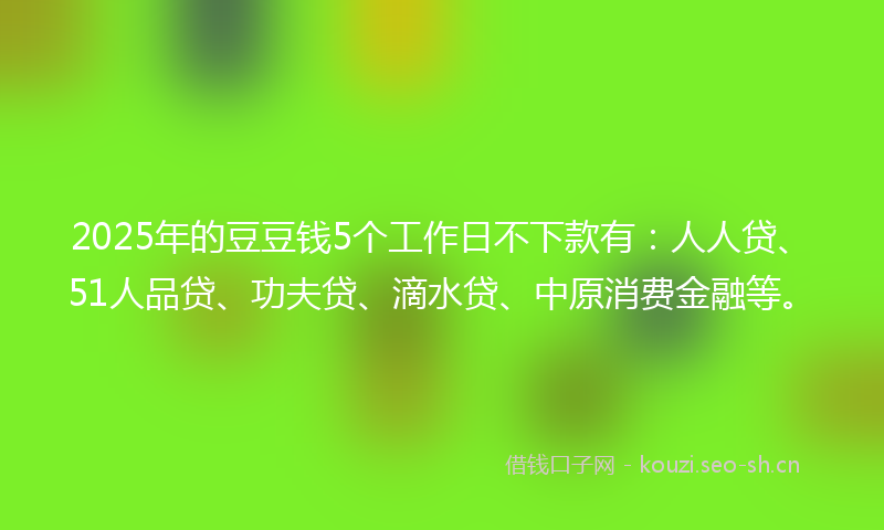 2025年的豆豆钱5个工作日不下款有：人人贷、51人品贷、功夫贷、滴水贷、中原消费金融等。