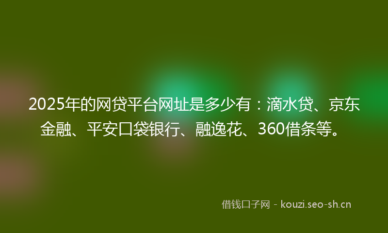 2025年的网贷平台网址是多少有：滴水贷、京东金融、平安口袋银行、融逸花、360借条等。