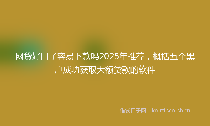 网贷好口子容易下款吗2025年推荐，概括五个黑户成功获取大额贷款的软件