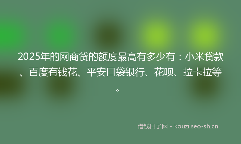 2025年的网商贷的额度最高有多少有：小米贷款、百度有钱花、平安口袋银行、花呗、拉卡拉等。
