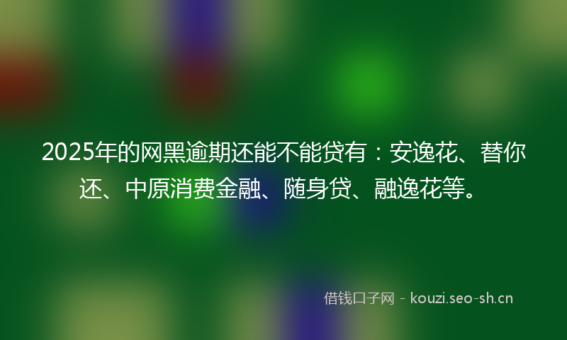2025年的网黑逾期还能不能贷有：安逸花、替你还、中原消费金融、随身贷、融逸花等。
