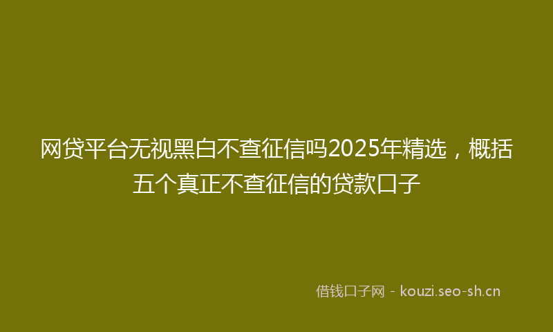 网贷平台无视黑白不查征信吗2025年精选，概括五个真正不查征信的贷款口子