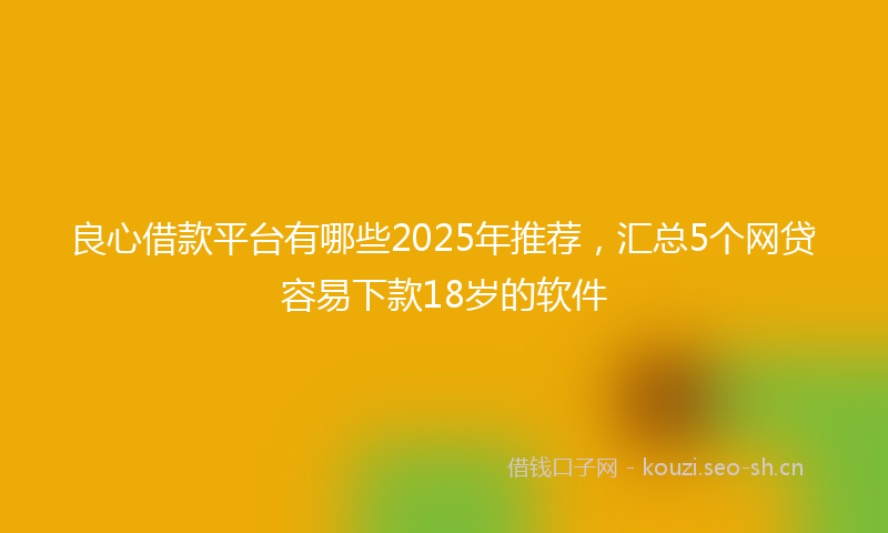 良心借款平台有哪些2025年推荐，汇总5个网贷容易下款18岁的软件