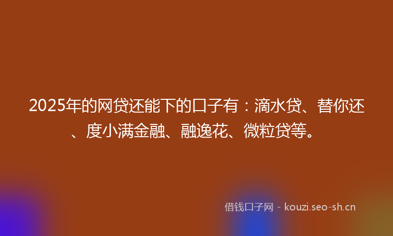 2025年的网贷还能下的口子有：滴水贷、替你还、度小满金融、融逸花、微粒贷等。