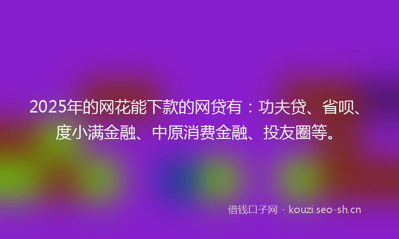 2025年的网花能下款的网贷有：功夫贷、省呗、度小满金融、中原消费金融、投友圈等。