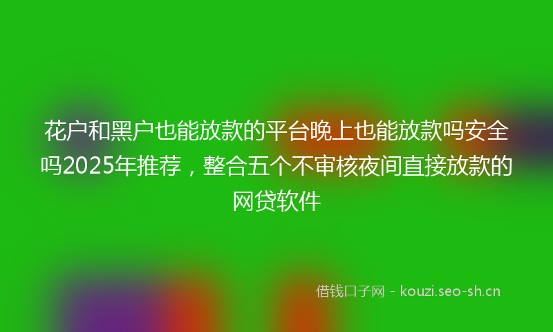 花户和黑户也能放款的平台晚上也能放款吗安全吗2025年推荐，整合五个不审核夜间直接放款的网贷软件