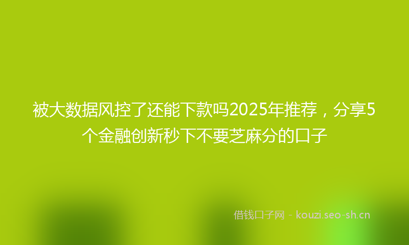 被大数据风控了还能下款吗2025年推荐，分享5个金融创新秒下不要芝麻分的口子