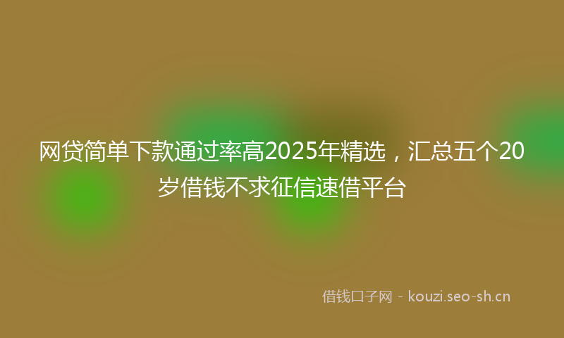 网贷简单下款通过率高2025年精选，汇总五个20岁借钱不求征信速借平台
