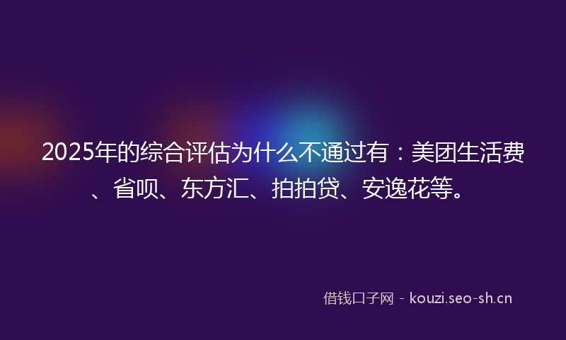2025年的综合评估为什么不通过有：美团生活费、省呗、东方汇、拍拍贷、安逸花等。