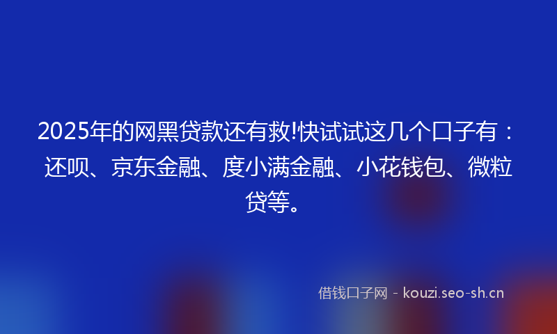 2025年的网黑贷款还有救!快试试这几个口子有：还呗、京东金融、度小满金融、小花钱包、微粒贷等。