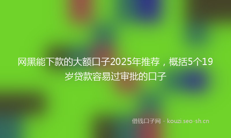 网黑能下款的大额口子2025年推荐，概括5个19岁贷款容易过审批的口子