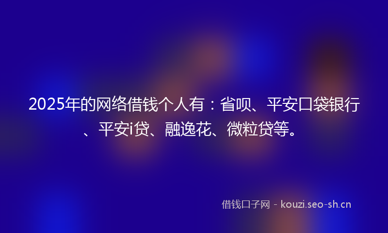 2025年的网络借钱个人有：省呗、平安口袋银行、平安i贷、融逸花、微粒贷等。