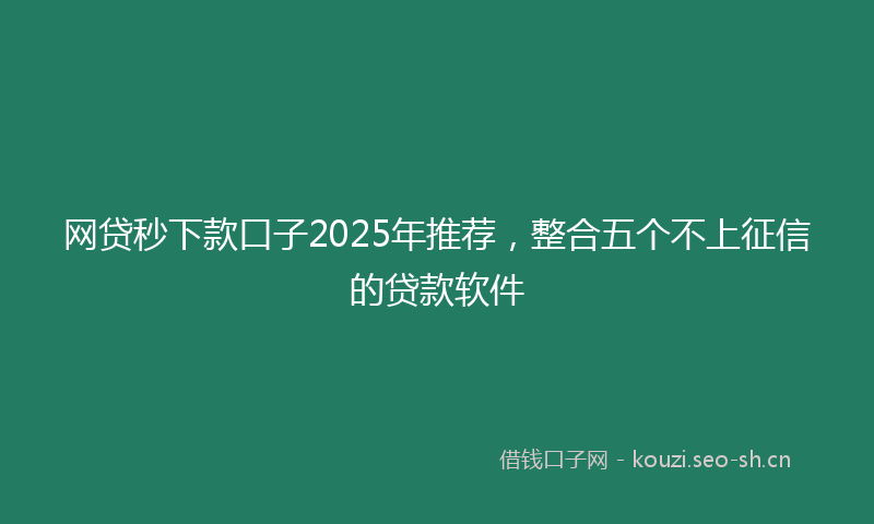 网贷秒下款口子2025年推荐，整合五个不上征信的贷款软件