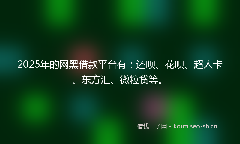 2025年的网黑借款平台有：还呗、花呗、超人卡、东方汇、微粒贷等。