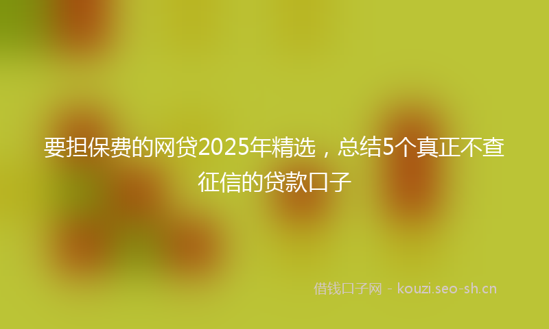 要担保费的网贷2025年精选，总结5个真正不查征信的贷款口子