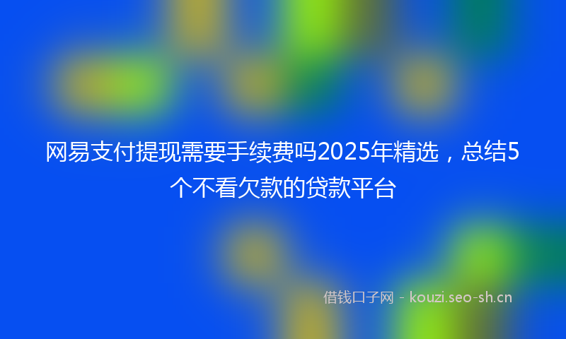 网易支付提现需要手续费吗2025年精选，总结5个不看欠款的贷款平台