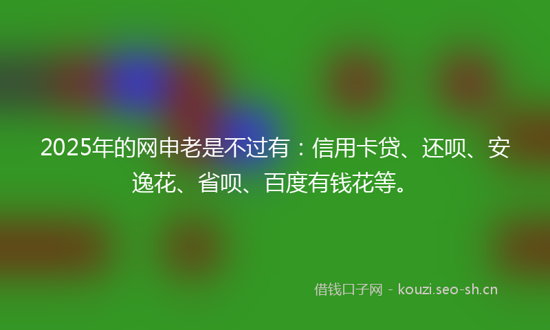 2025年的网申老是不过有:信用卡贷、还呗、安逸花、省呗、百度有钱花等。