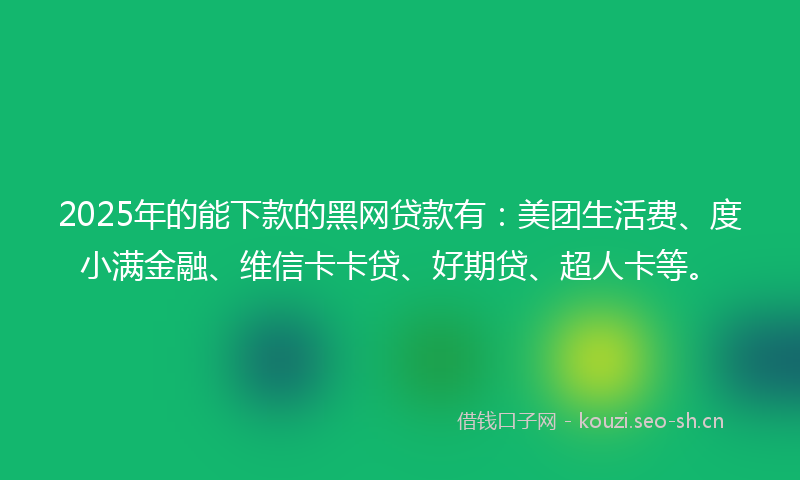 2025年的能下款的黑网贷款有：美团生活费、度小满金融、维信卡卡贷、好期贷、超人卡等。