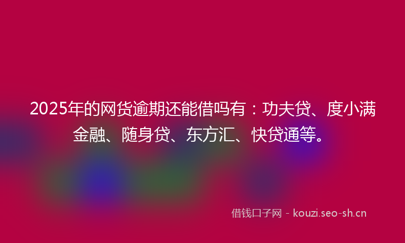 2025年的网货逾期还能借吗有：功夫贷、度小满金融、随身贷、东方汇、快贷通等。
