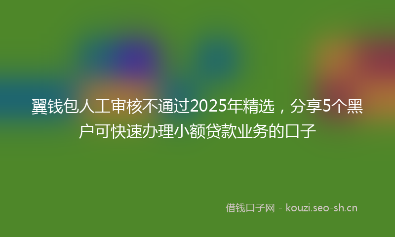 翼钱包人工审核不通过2025年精选，分享5个黑户可快速办理小额贷款业务的口子