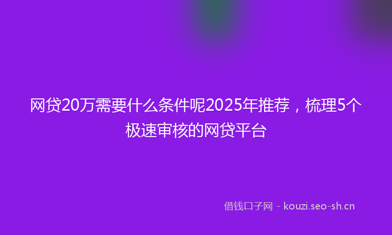 网贷20万需要什么条件呢2025年推荐，梳理5个极速审核的网贷平台